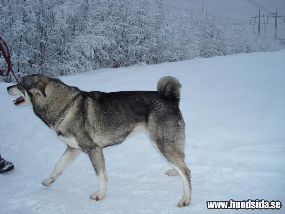 &Ouml;ppna