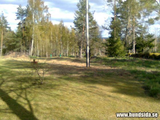 &Ouml;ppna