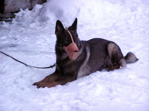 &Ouml;ppna