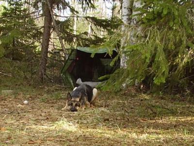 &Ouml;ppna