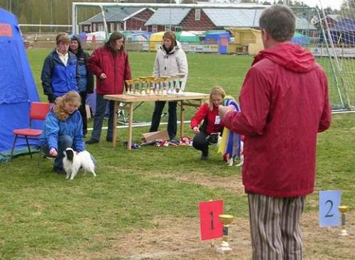 &Ouml;ppna