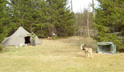 &Ouml;ppna