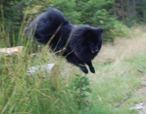 &Ouml;ppna