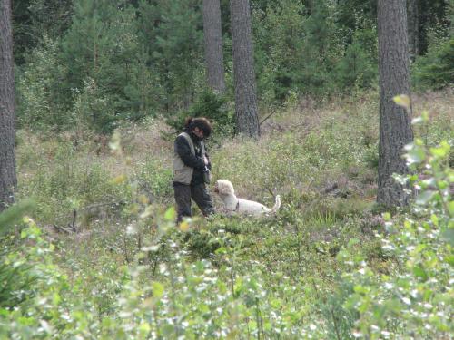 &Ouml;ppna