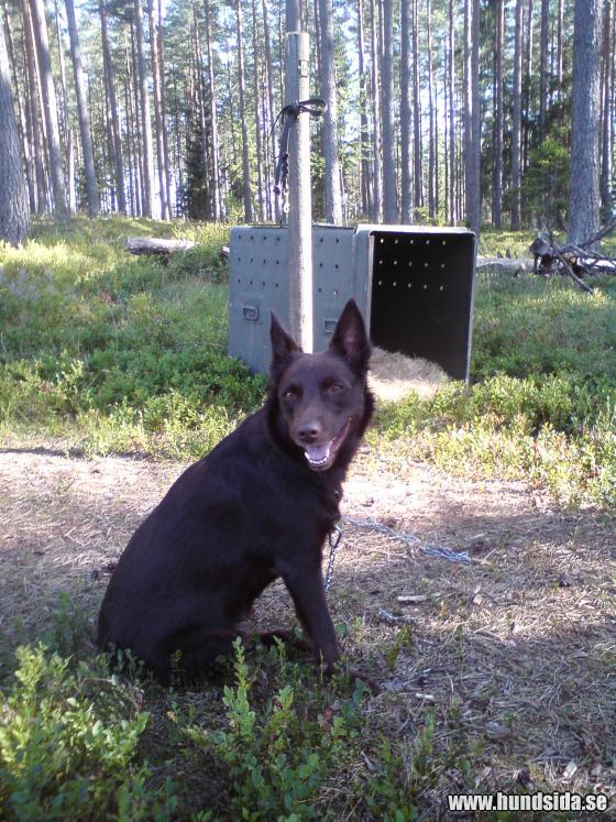 &Ouml;ppna
