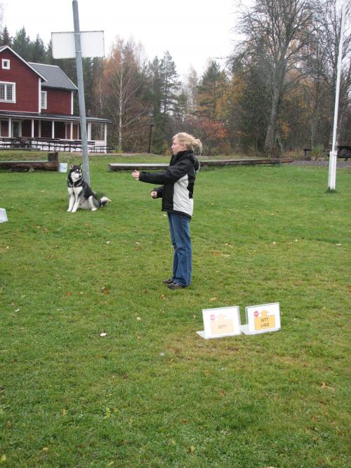 &Ouml;ppna