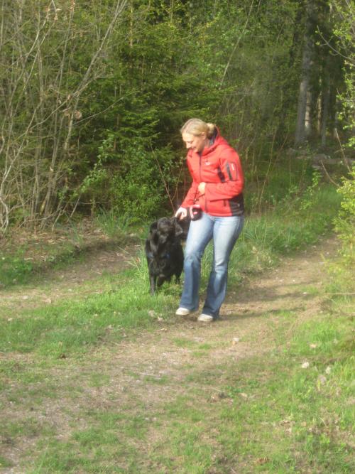 &Ouml;ppna