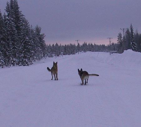 &Ouml;ppna