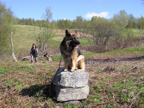 &Ouml;ppna