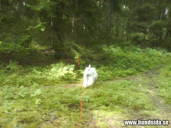 &Ouml;ppna