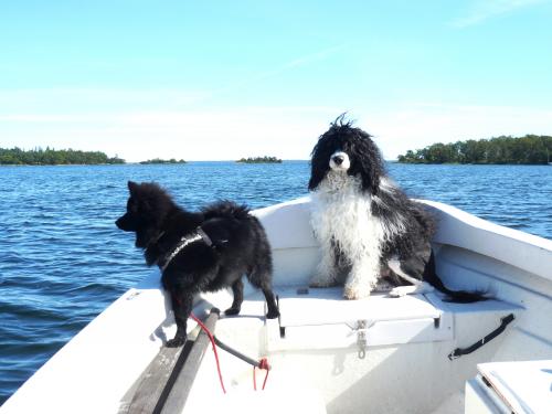 &Ouml;ppna