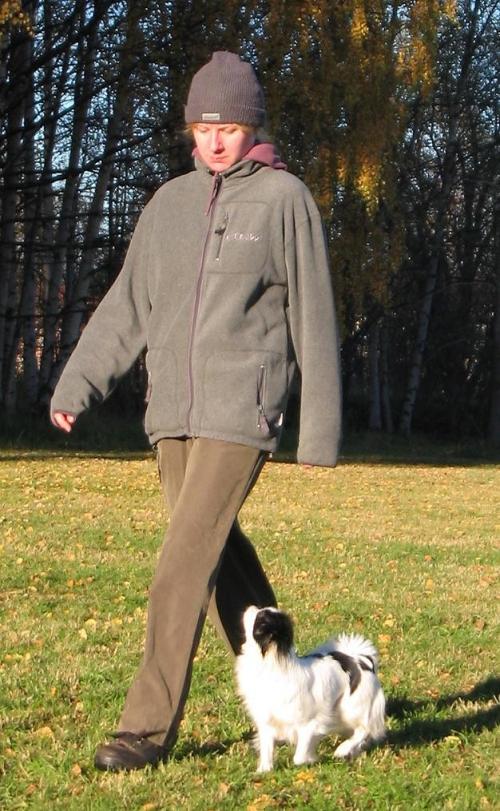 &Ouml;ppna