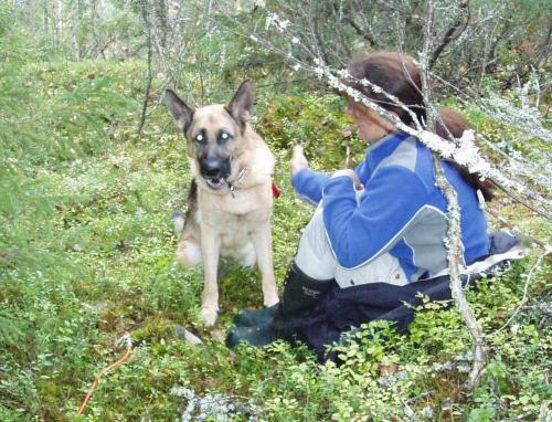 &Ouml;ppna