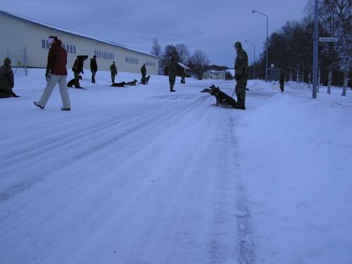 &Ouml;ppna