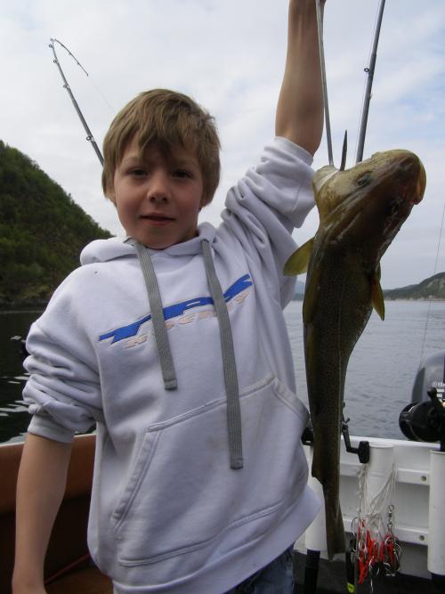 &Ouml;ppna
