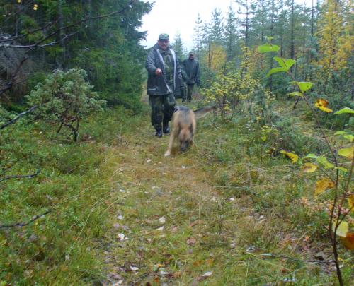 &Ouml;ppna
