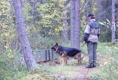 &Ouml;ppna