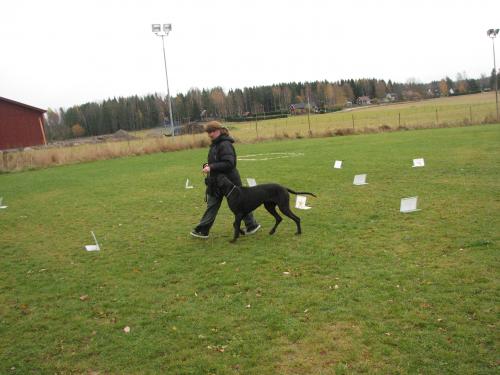 &Ouml;ppna
