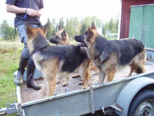 &Ouml;ppna