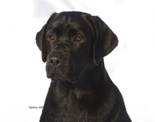 &Ouml;ppna