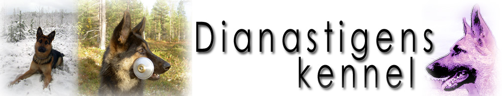 DIANASTIGENS