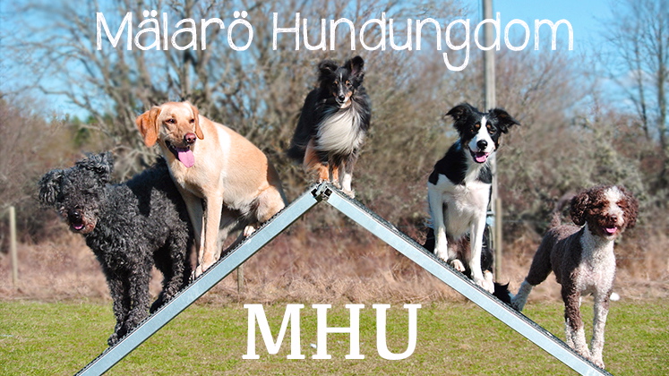 M�lar�