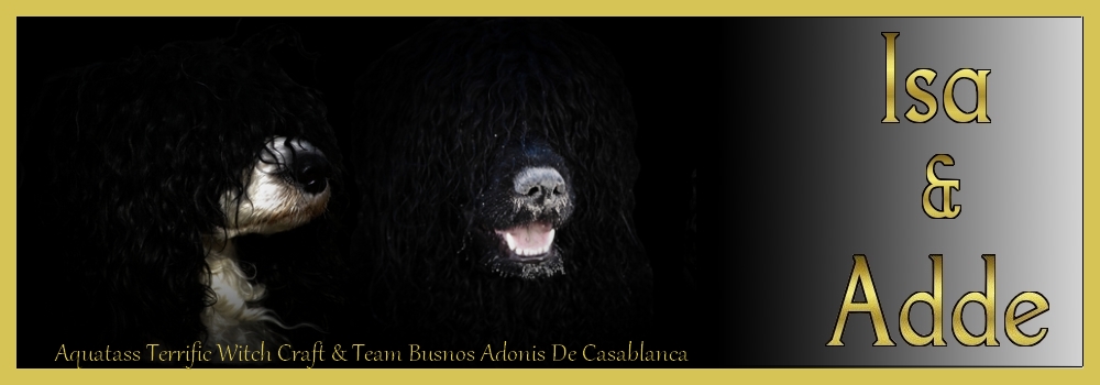 Isa�s