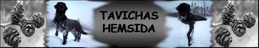 Tavichas