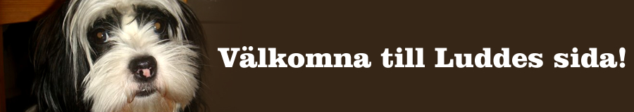 V�lkomna